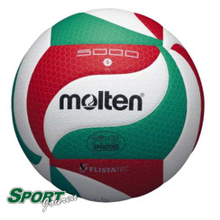 Produktbild fr “Volleyboll - VM5000 - Molten”